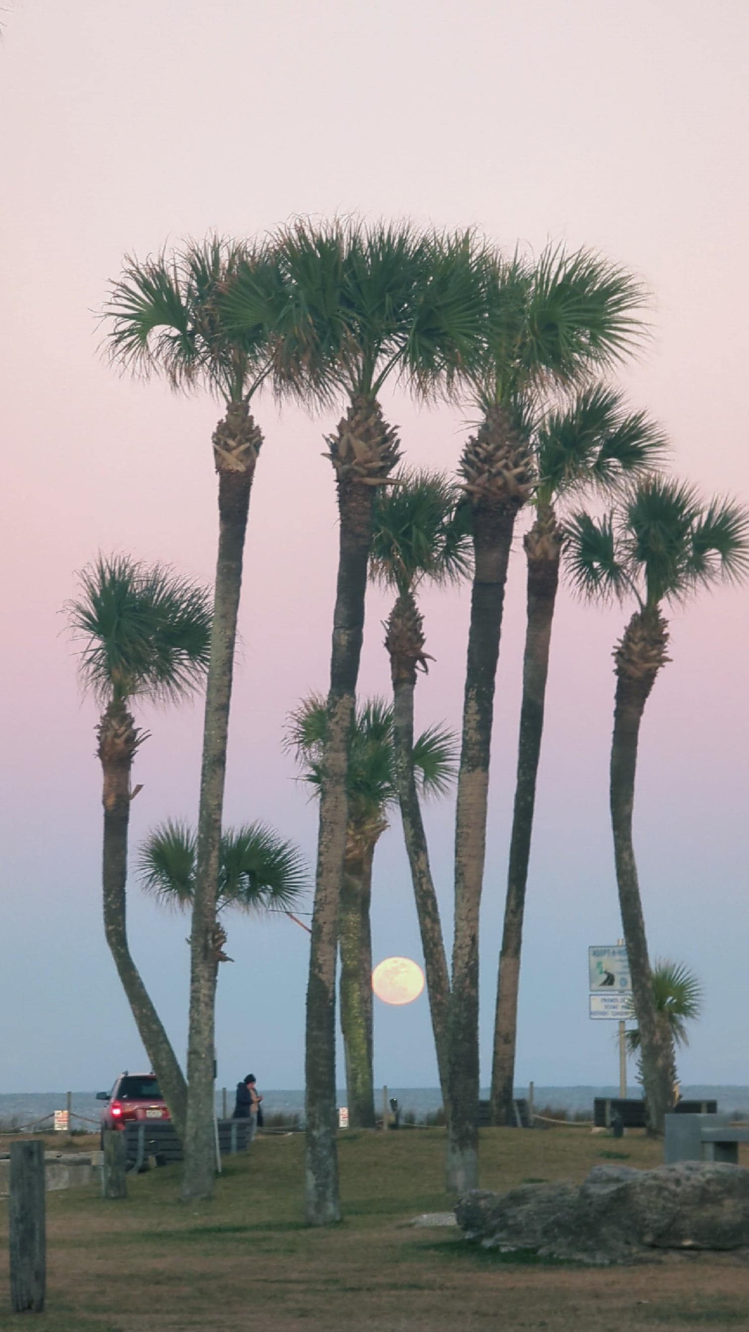 View from hotel to beach