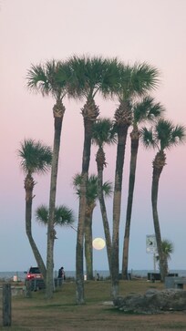 View from hotel to beach