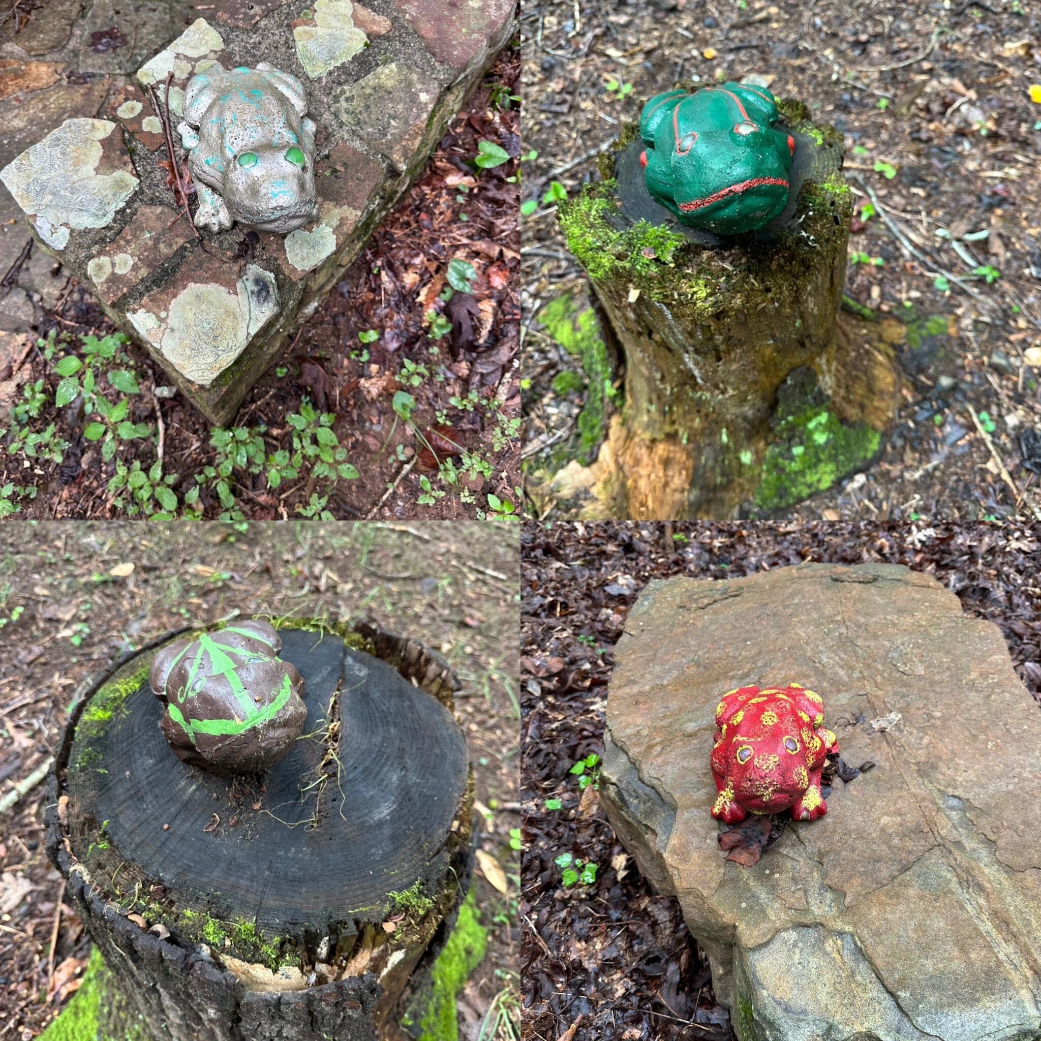 Loved to frogs located around the falls