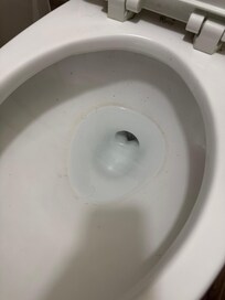 Ring in toilet along with dirty all around shows the toilets are hardly cleaned.