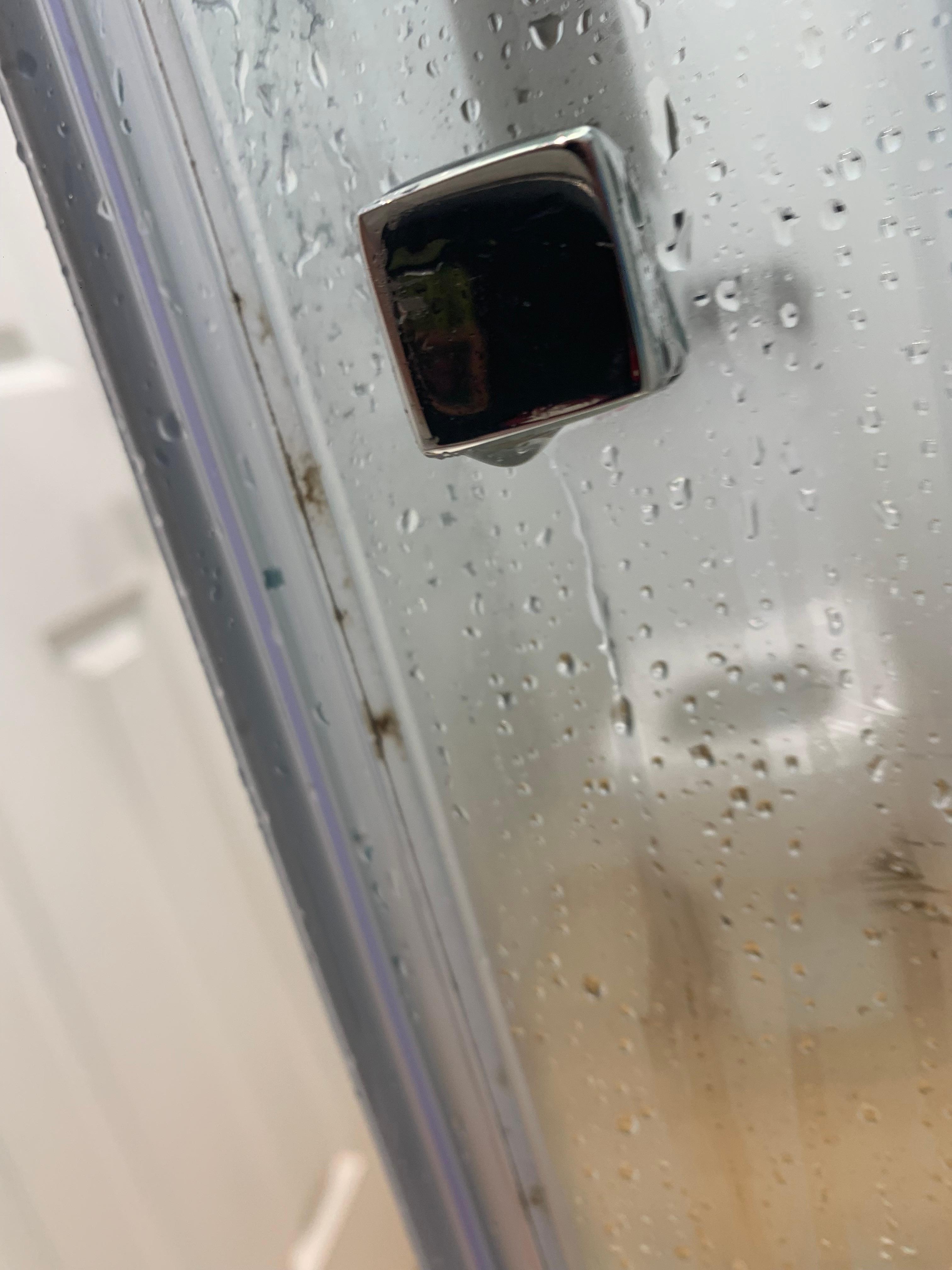 Black mold