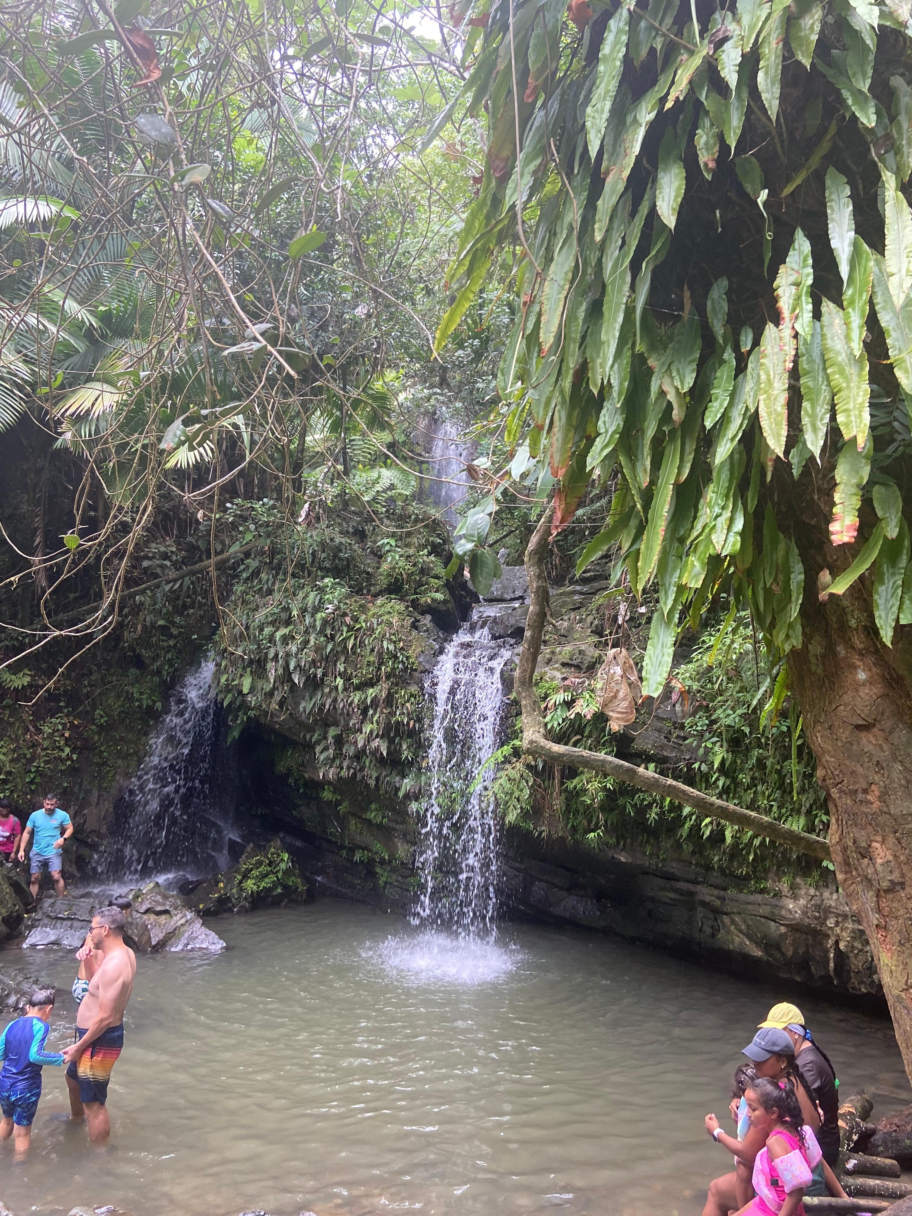 water fall at El Yunque