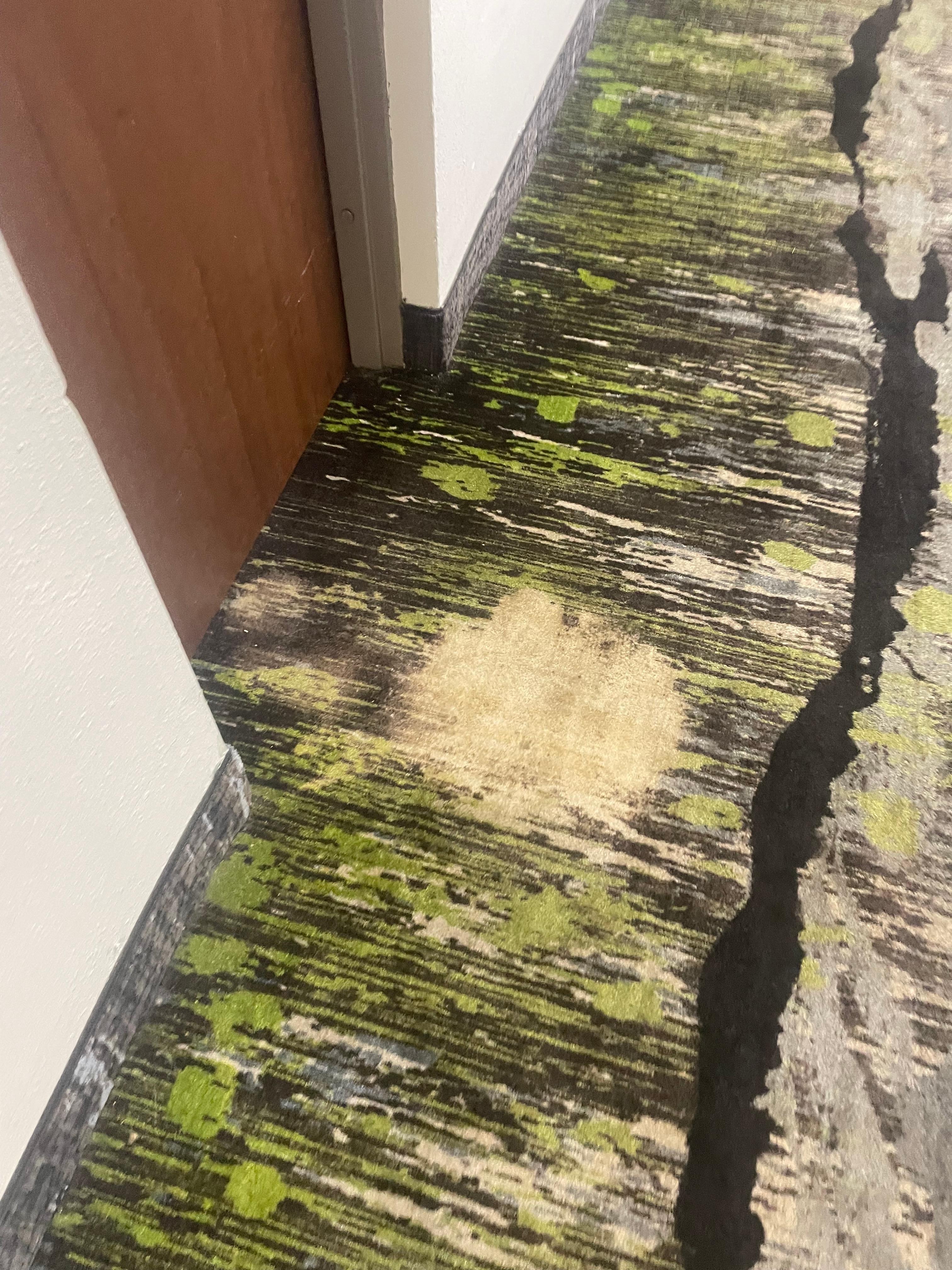 Bad carpet