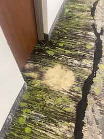 Bad carpet