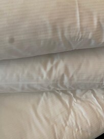 3 of the 4 smelly pillows