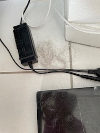 Une touffe de gros cheveux dans le salon, il y en avait aussi dans une chambre