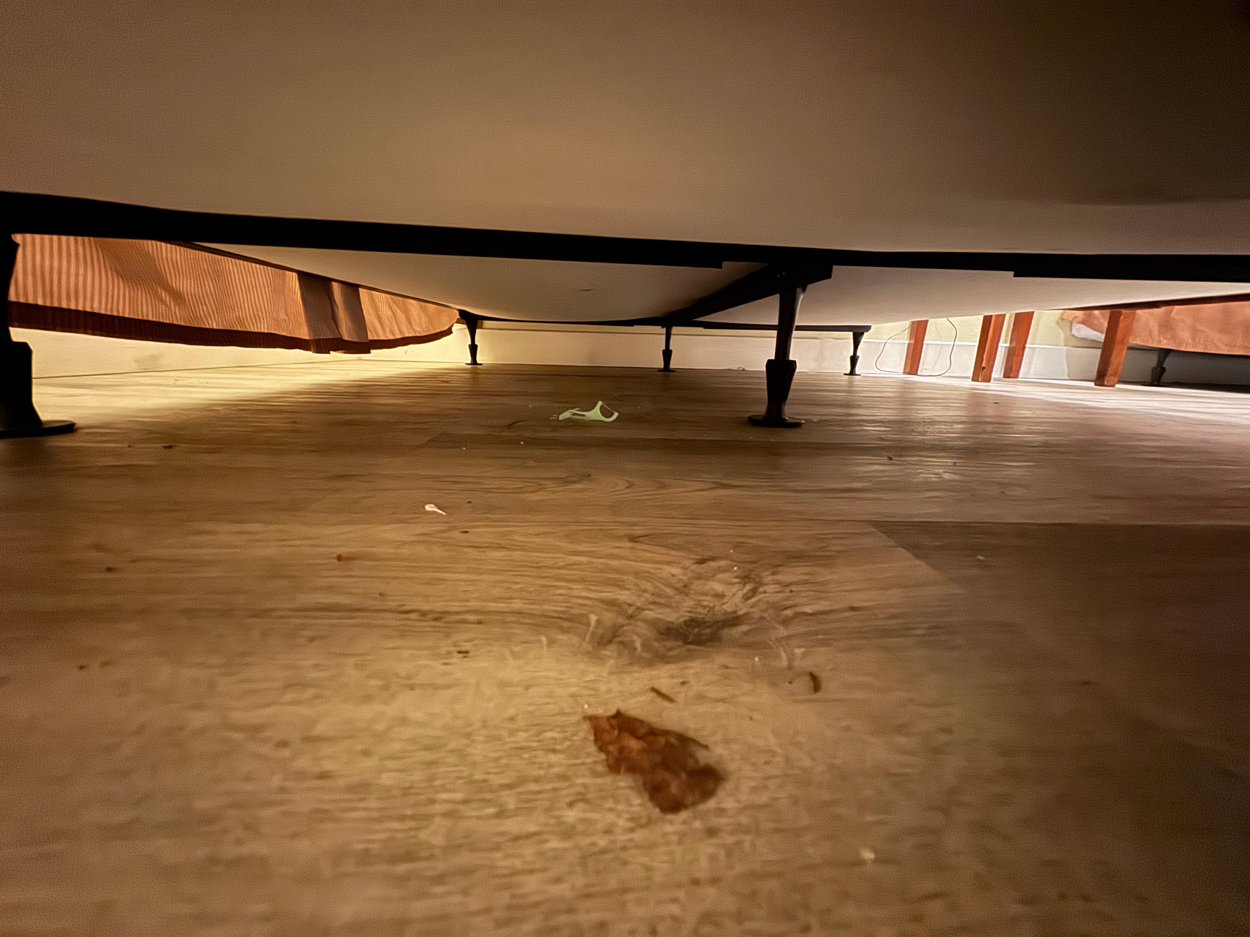 Under the bed upon arrival 