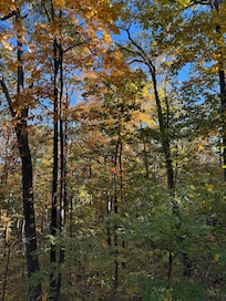The view off the deck.