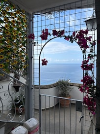 View from one of the terraces