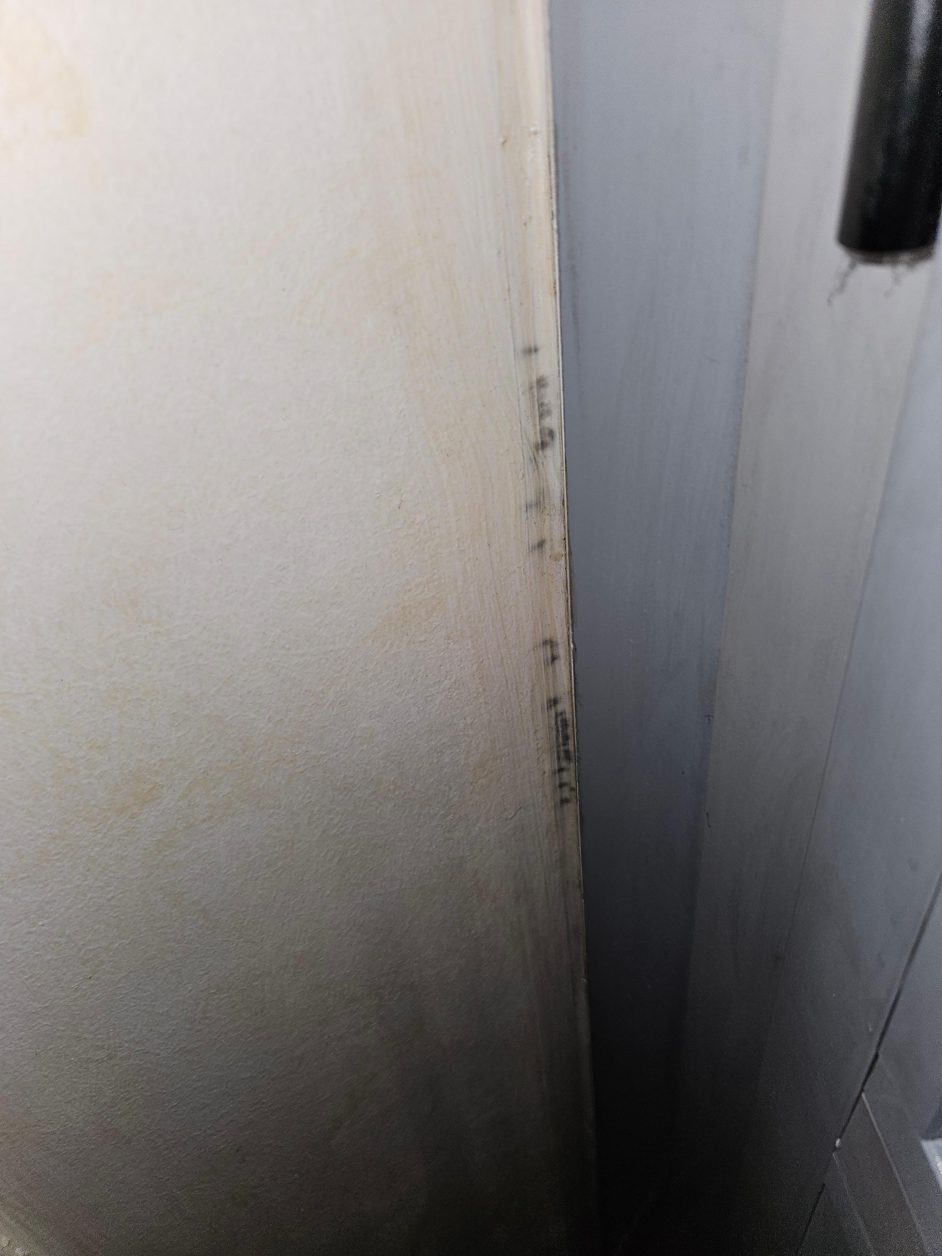 Schimmel im zimmer beim fenster