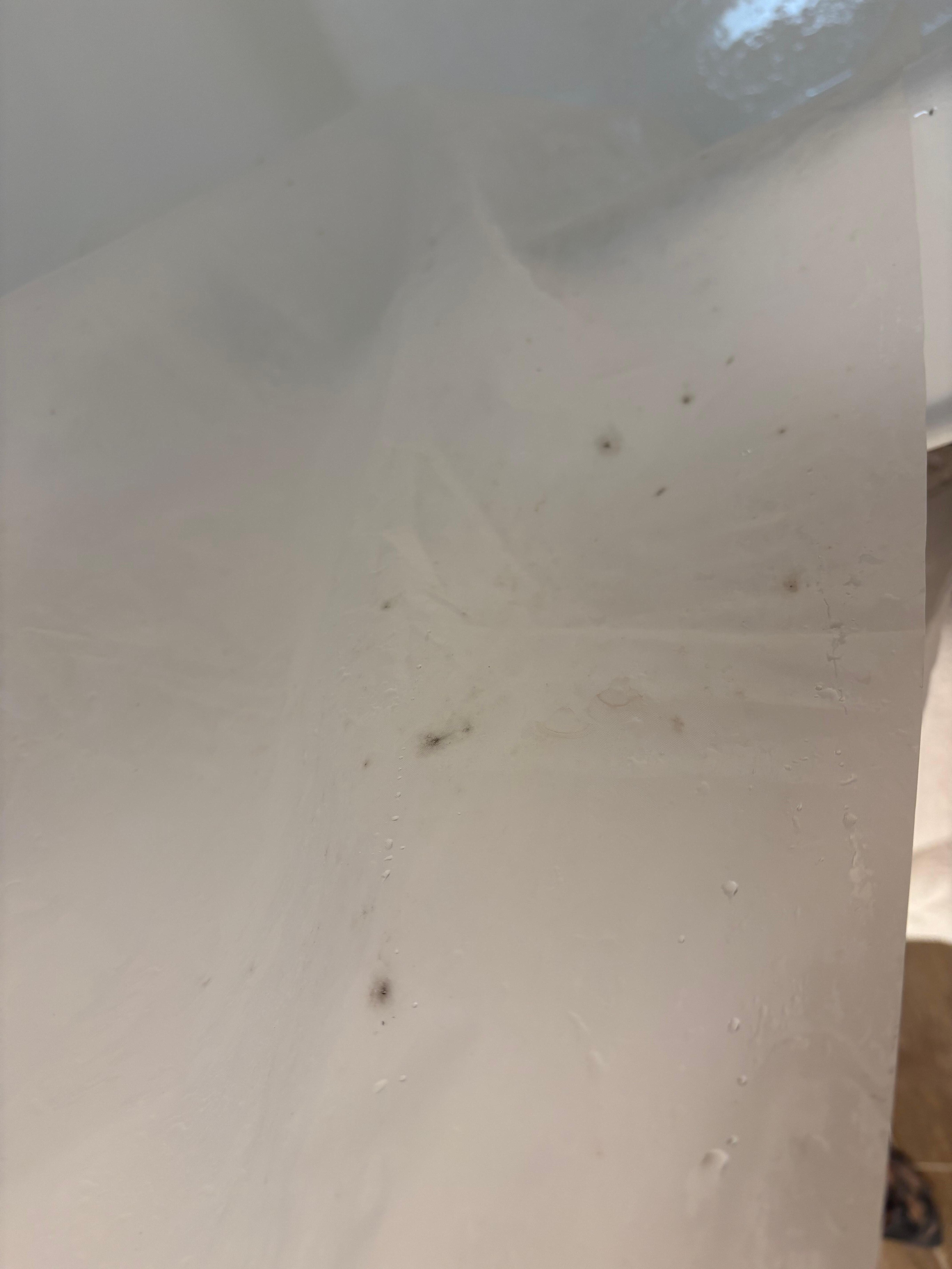 Mold all over the shower liner that clearly has not been cleaned. 