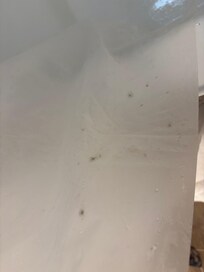 Mold all over the shower liner that clearly has not been cleaned.