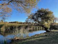 Neary Lagoon, a birding hotspot in the heart of Santa Cruz. I joined the Santa Cruz Birding Club for an early outing to the lagoon, looking for late migrants and wintering birds.