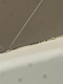 Mold around the tub