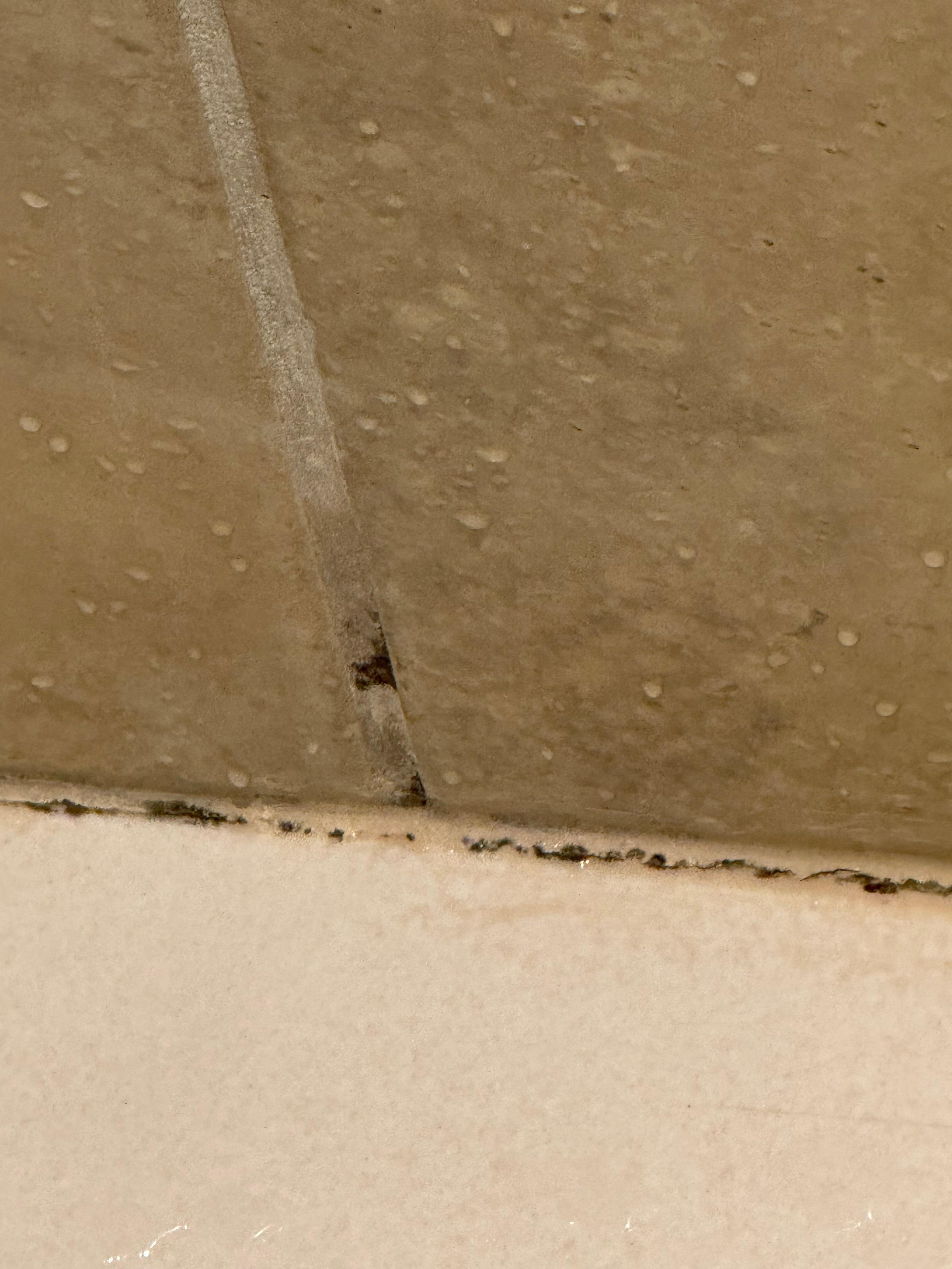 Mold in shower