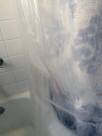 brown mold on shower curtain