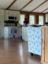 Watching the hummingbirds