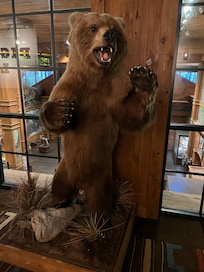 Bear on 2nd floor decor
