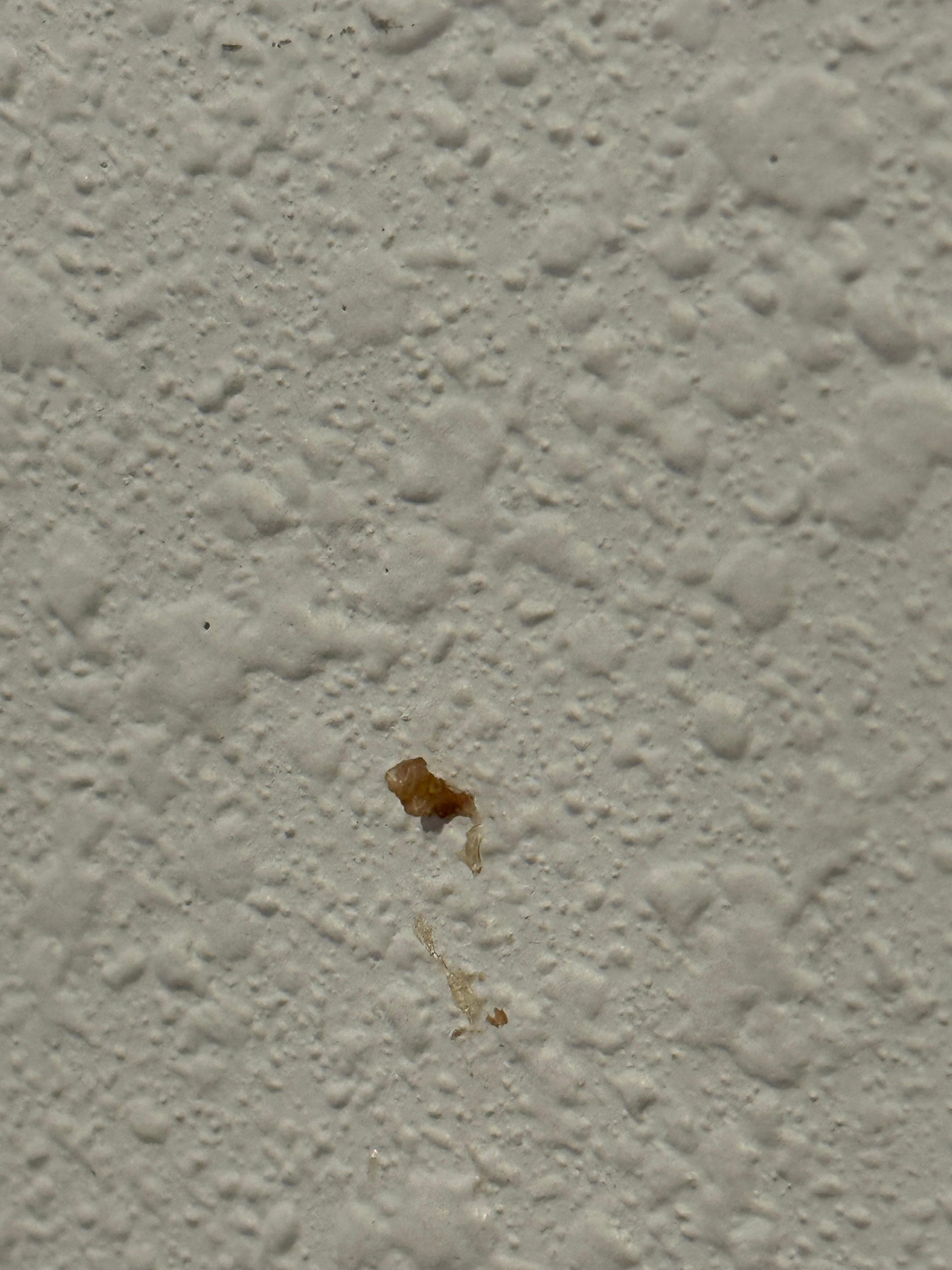 One of the many things found on the walls