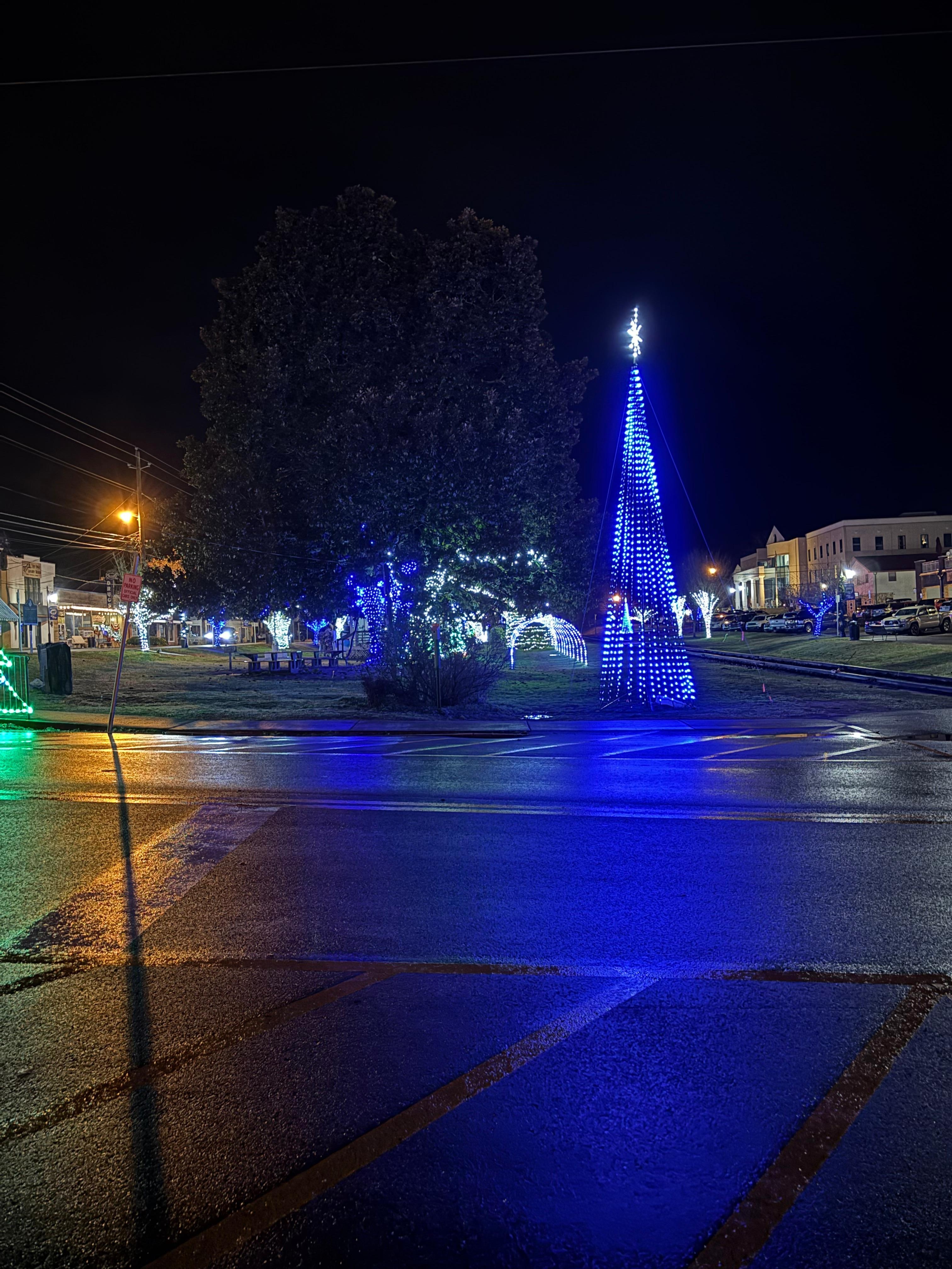 Christmas lights downtown!