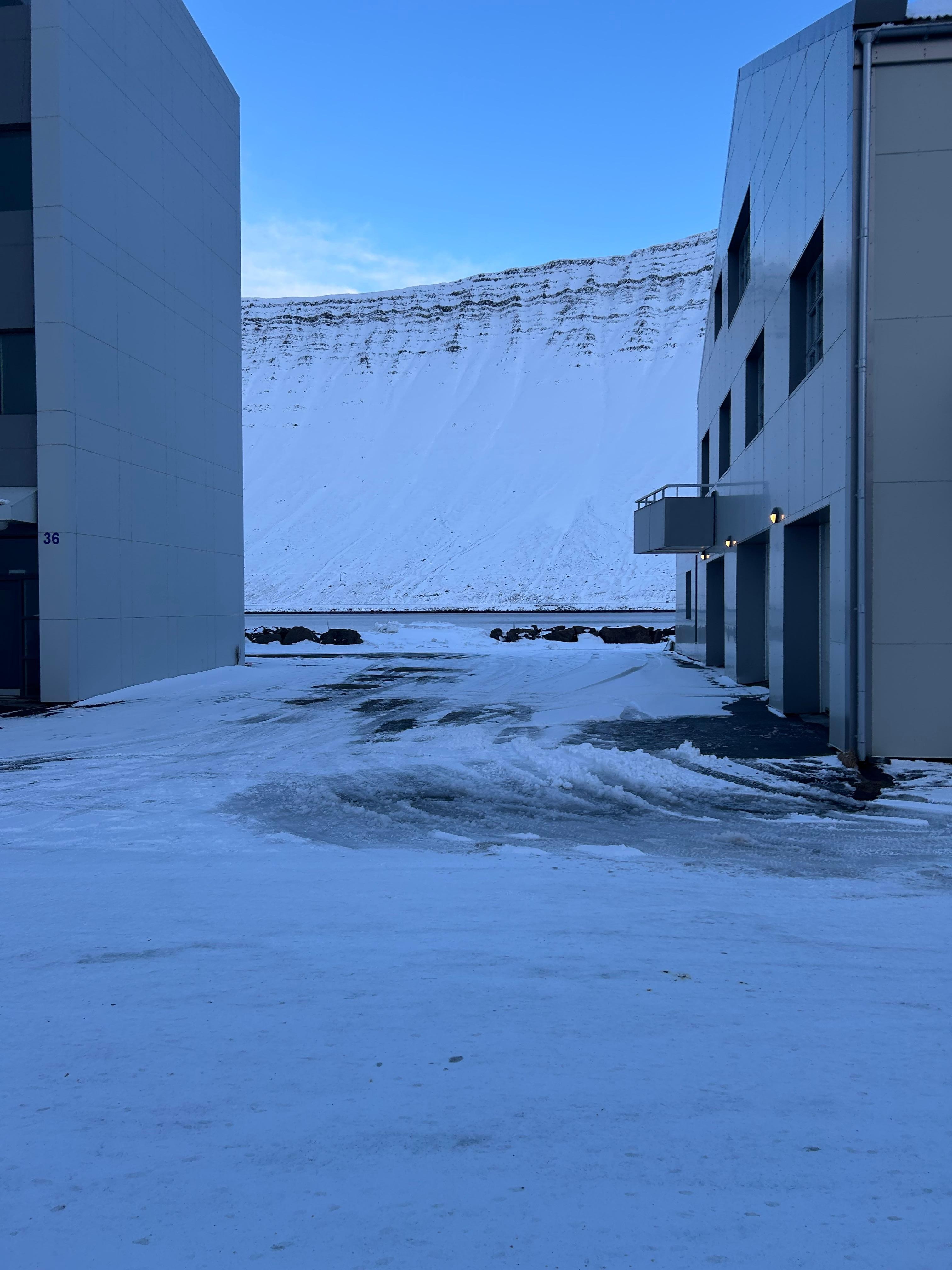 View out the front door 