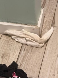 Filthy towel found on shower