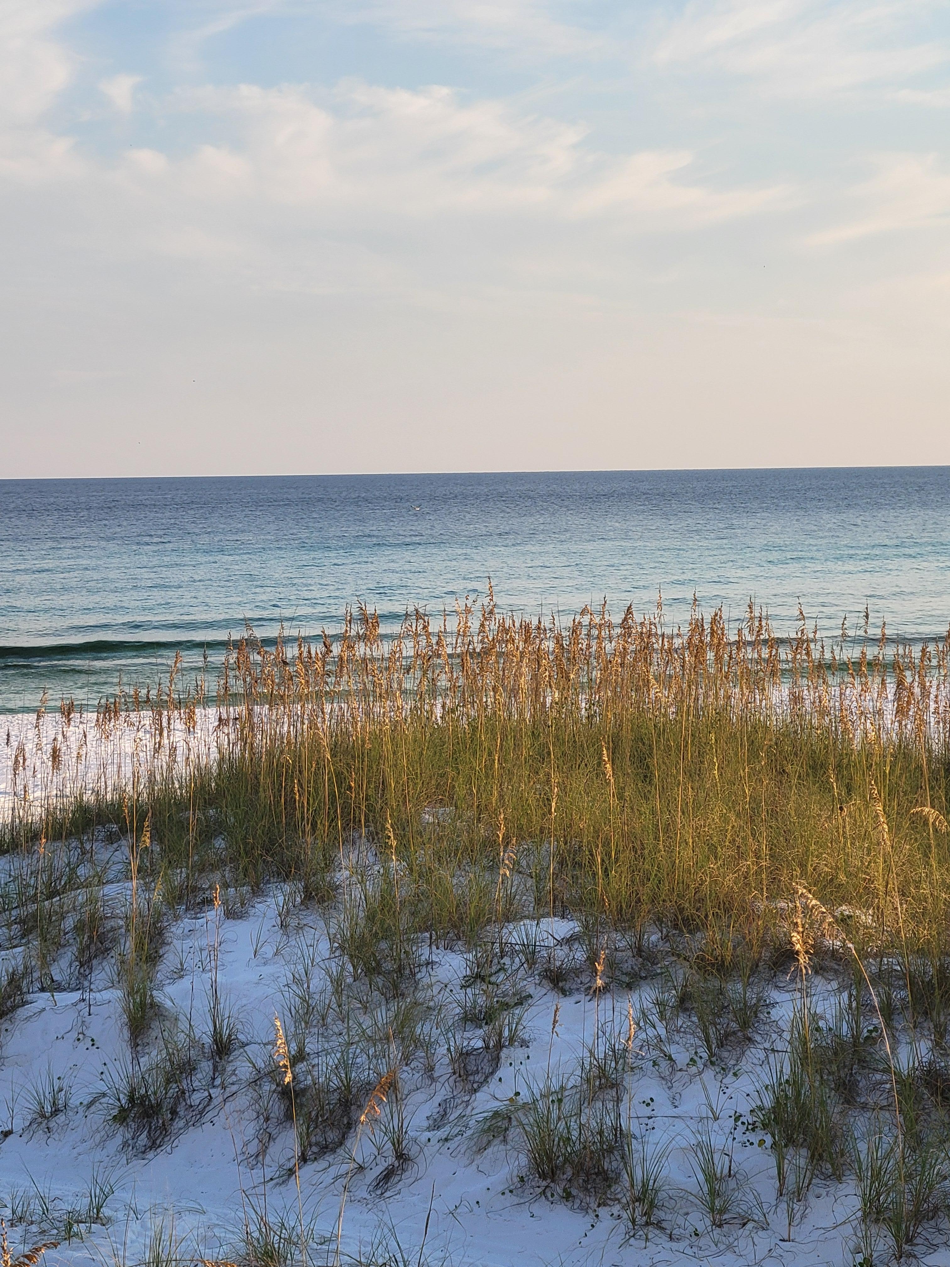 Dunes are right next to the property. 