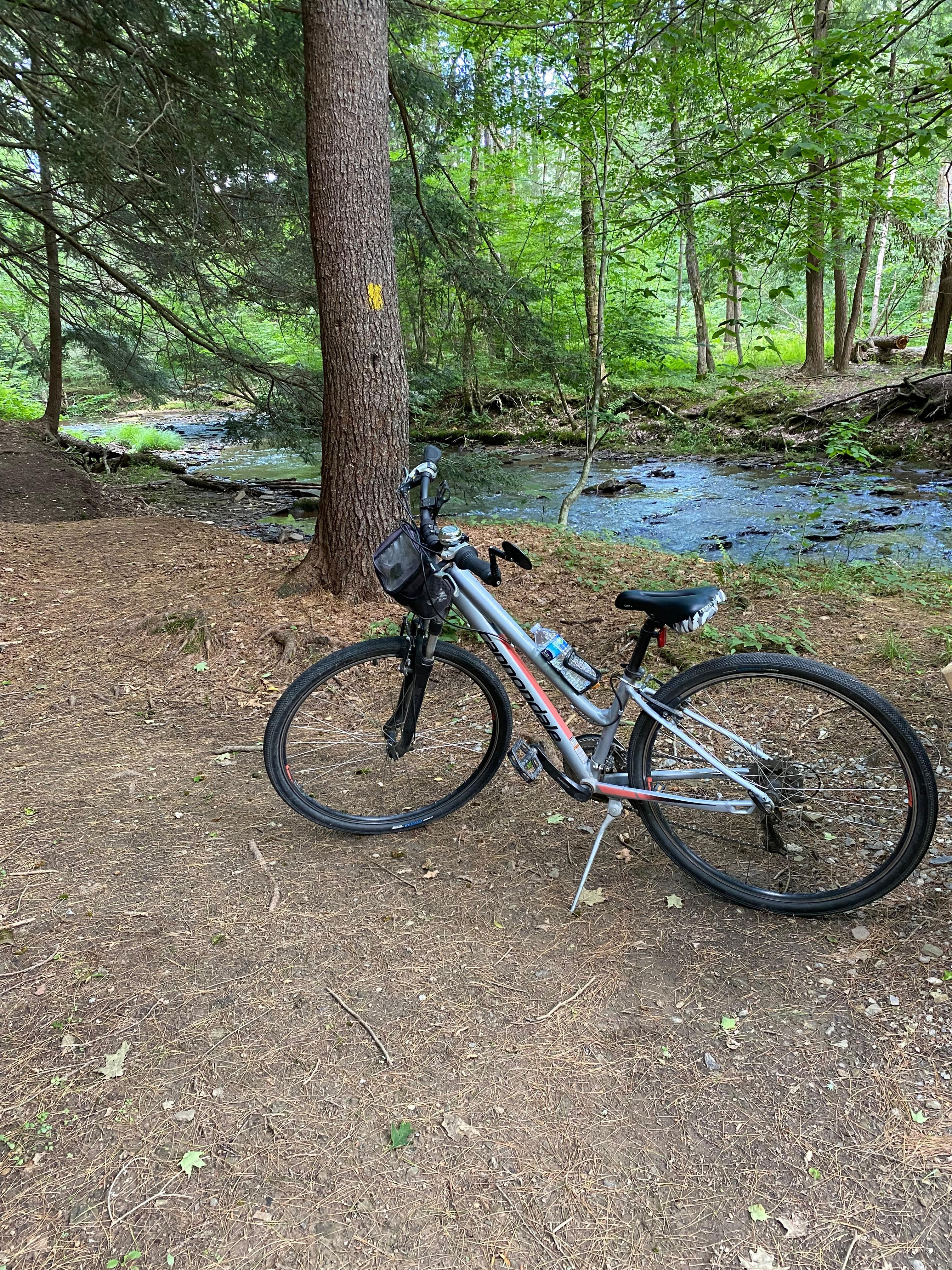 Sizerville State park