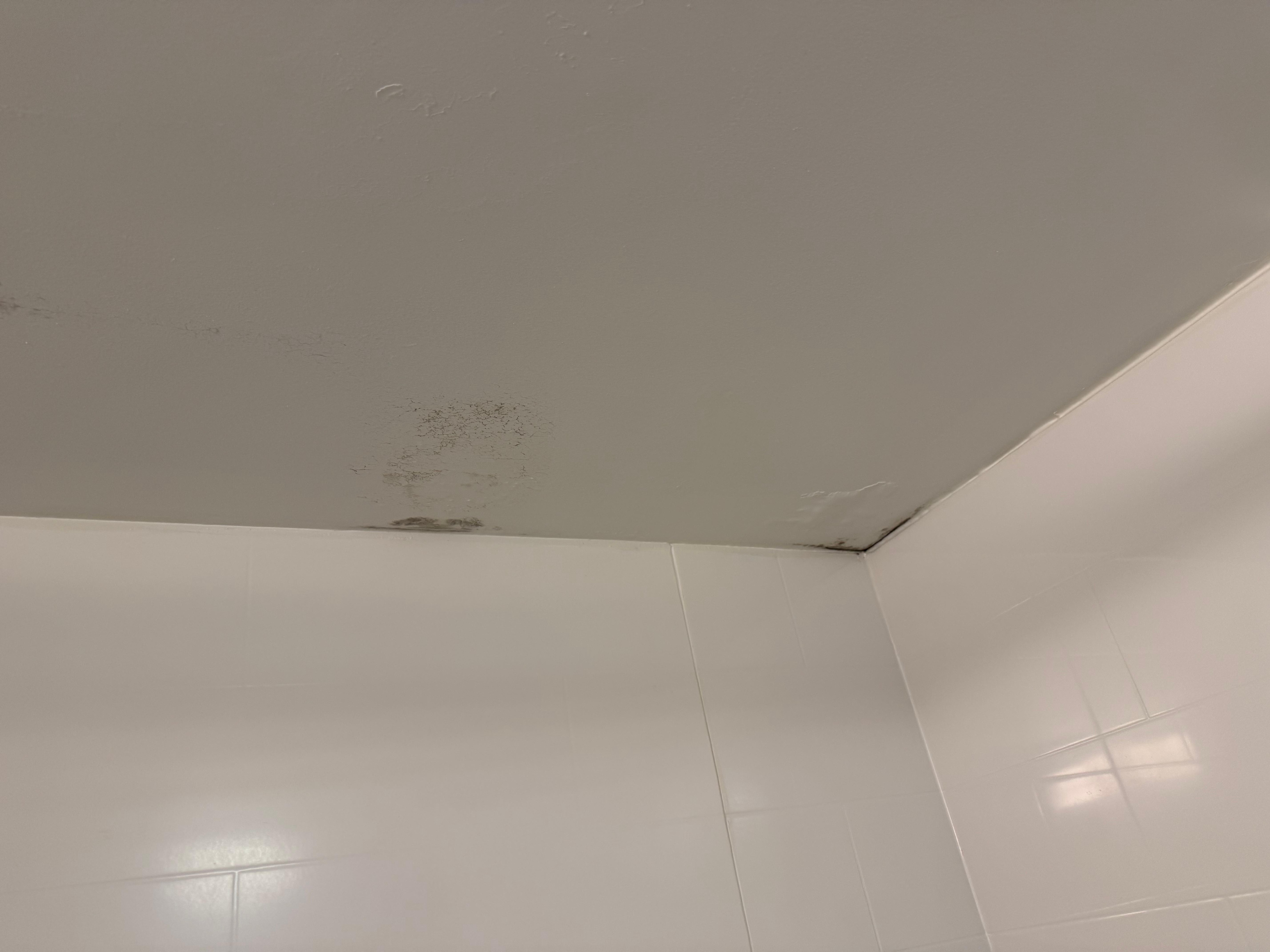 Mold in shower