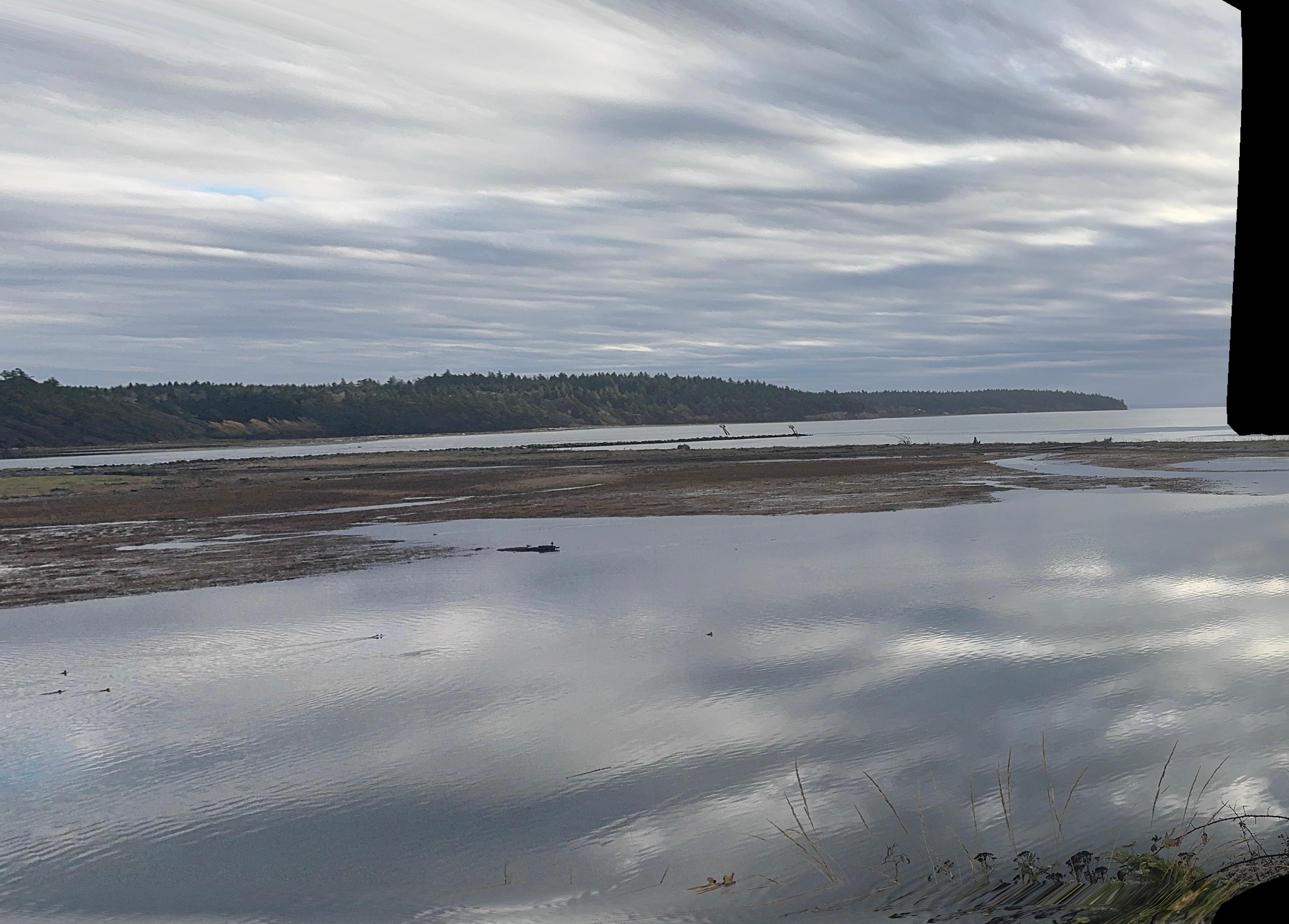The view from every window on the waterfront! Amazing wildlife too.  So peaceful but in a luxury setting. 