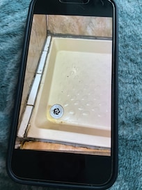 Shower tray