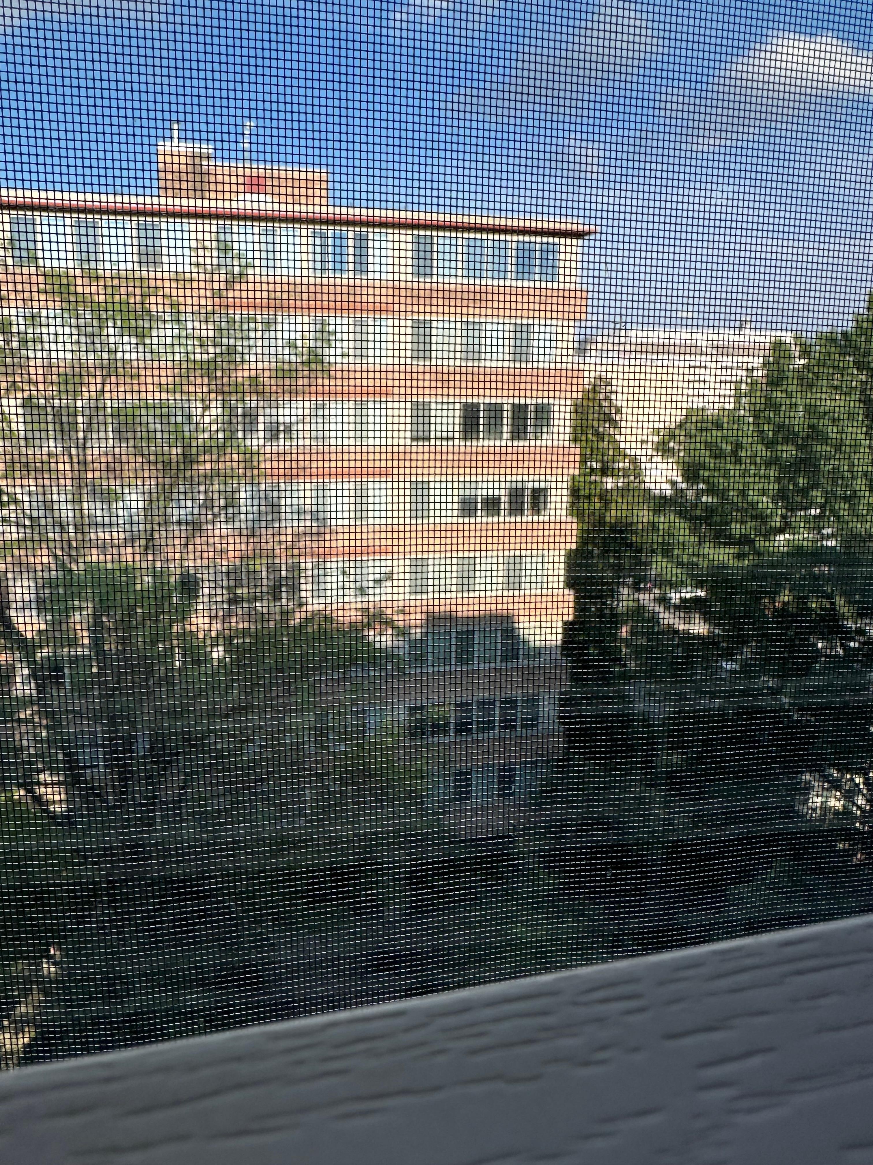 View from room 705
