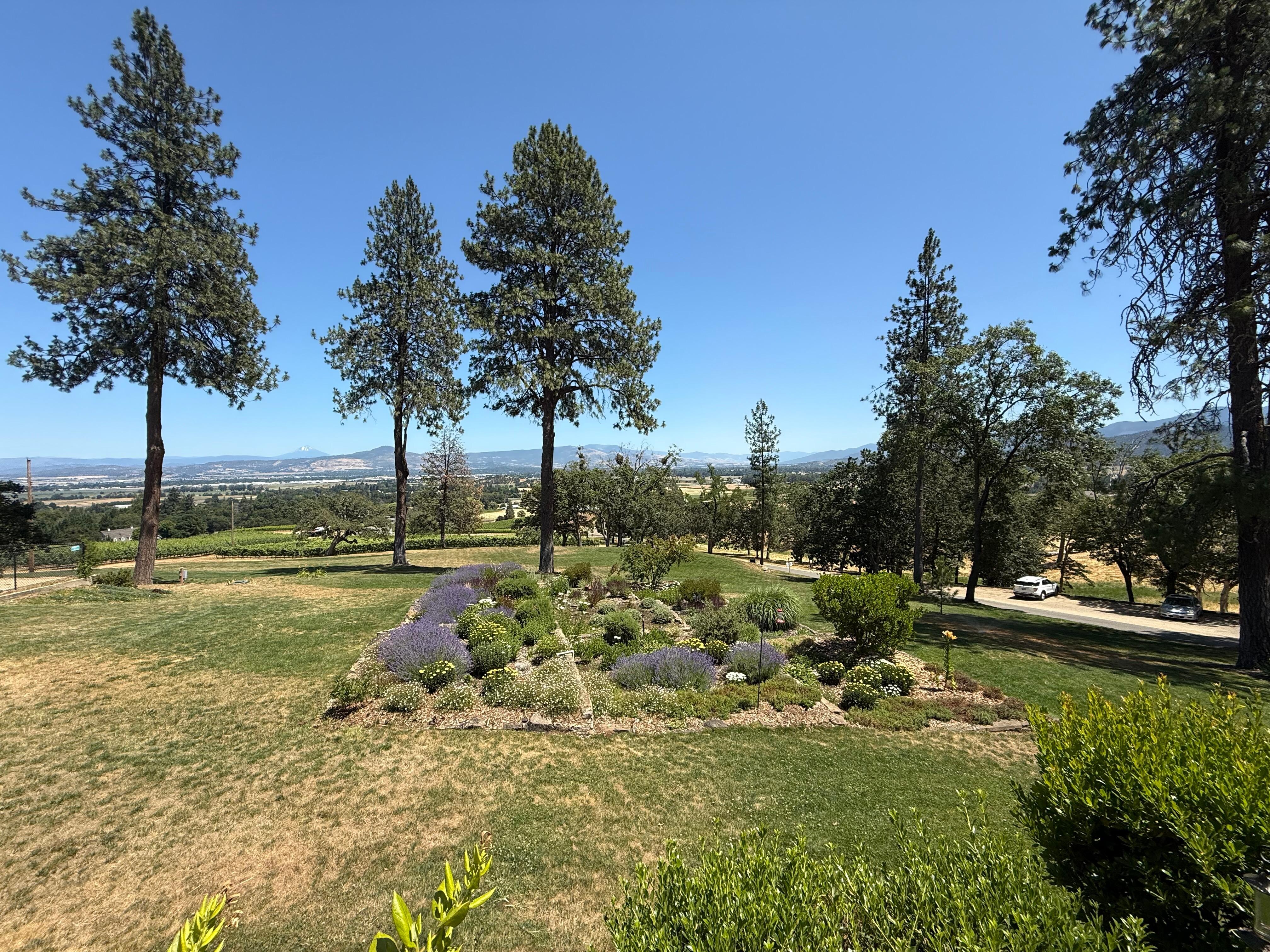 Winery with views of Mt McLaughlin