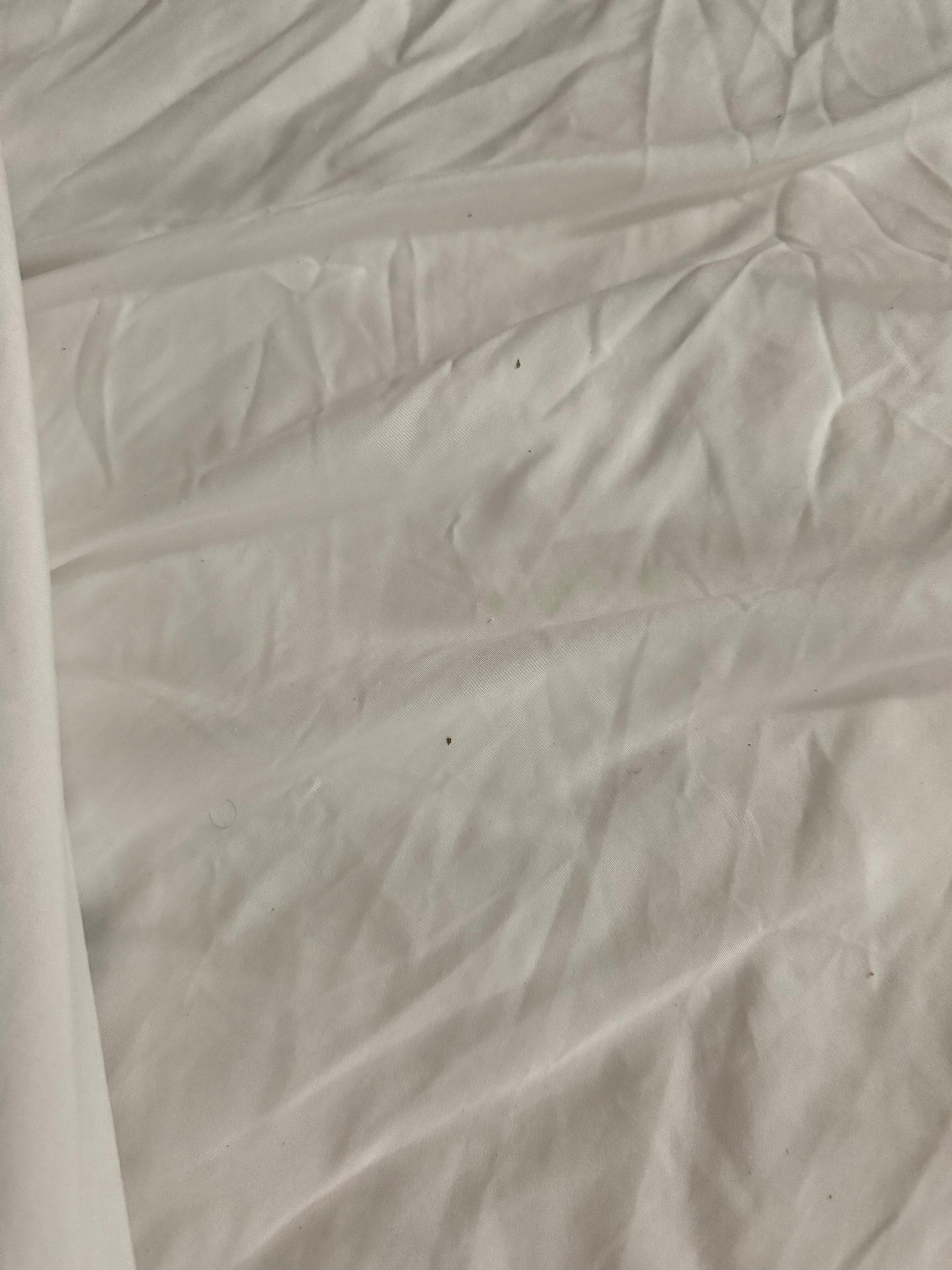 Bedbugs and black specks on the sheet. Different area of the bed