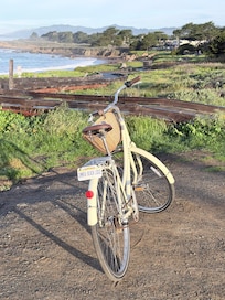 Biking along the coast