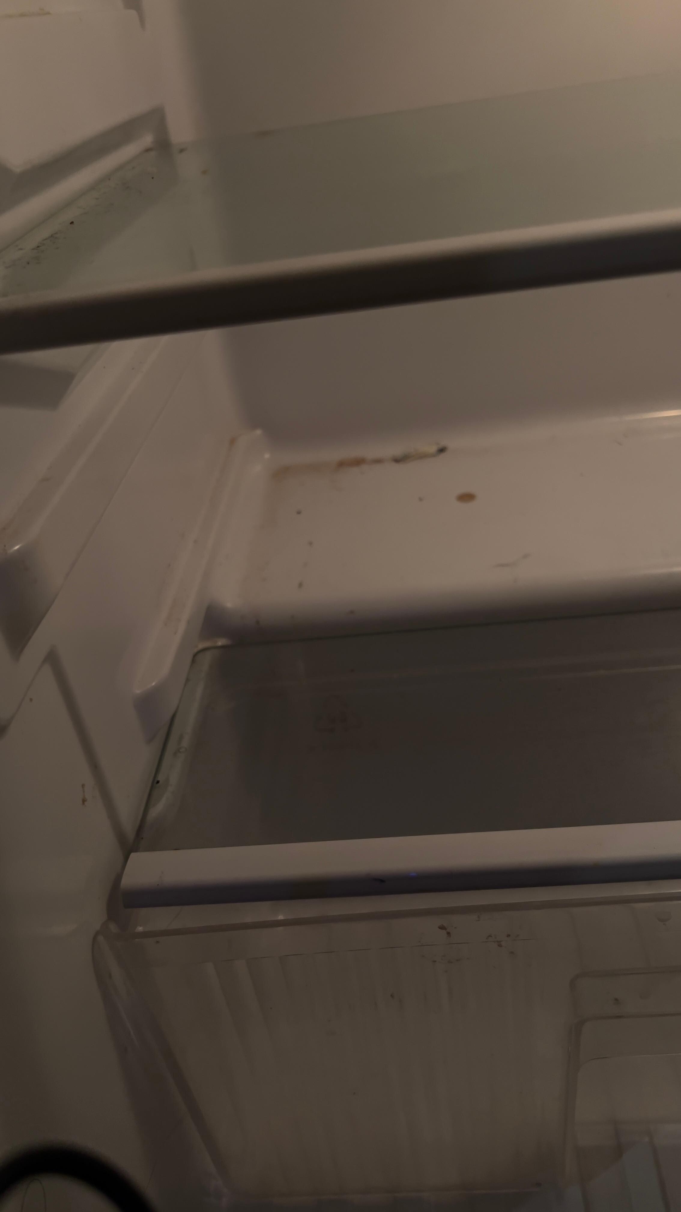 Dirty fridge 