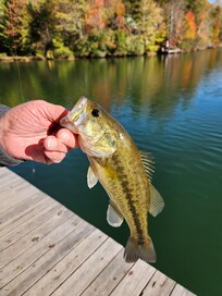 Catch and release at pvt Lake