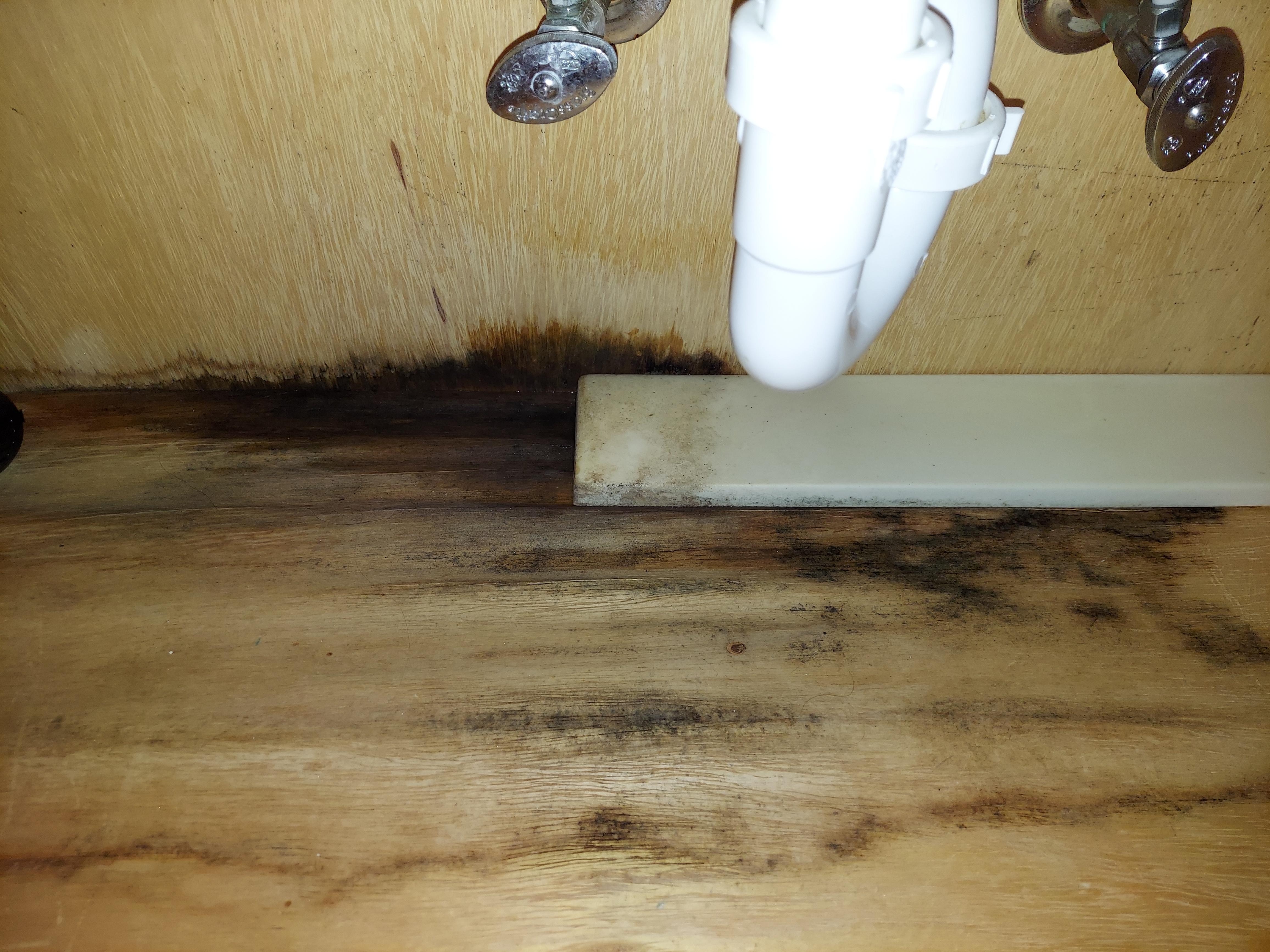 Mold in bath cabinet
