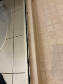 Black Mold In Shower