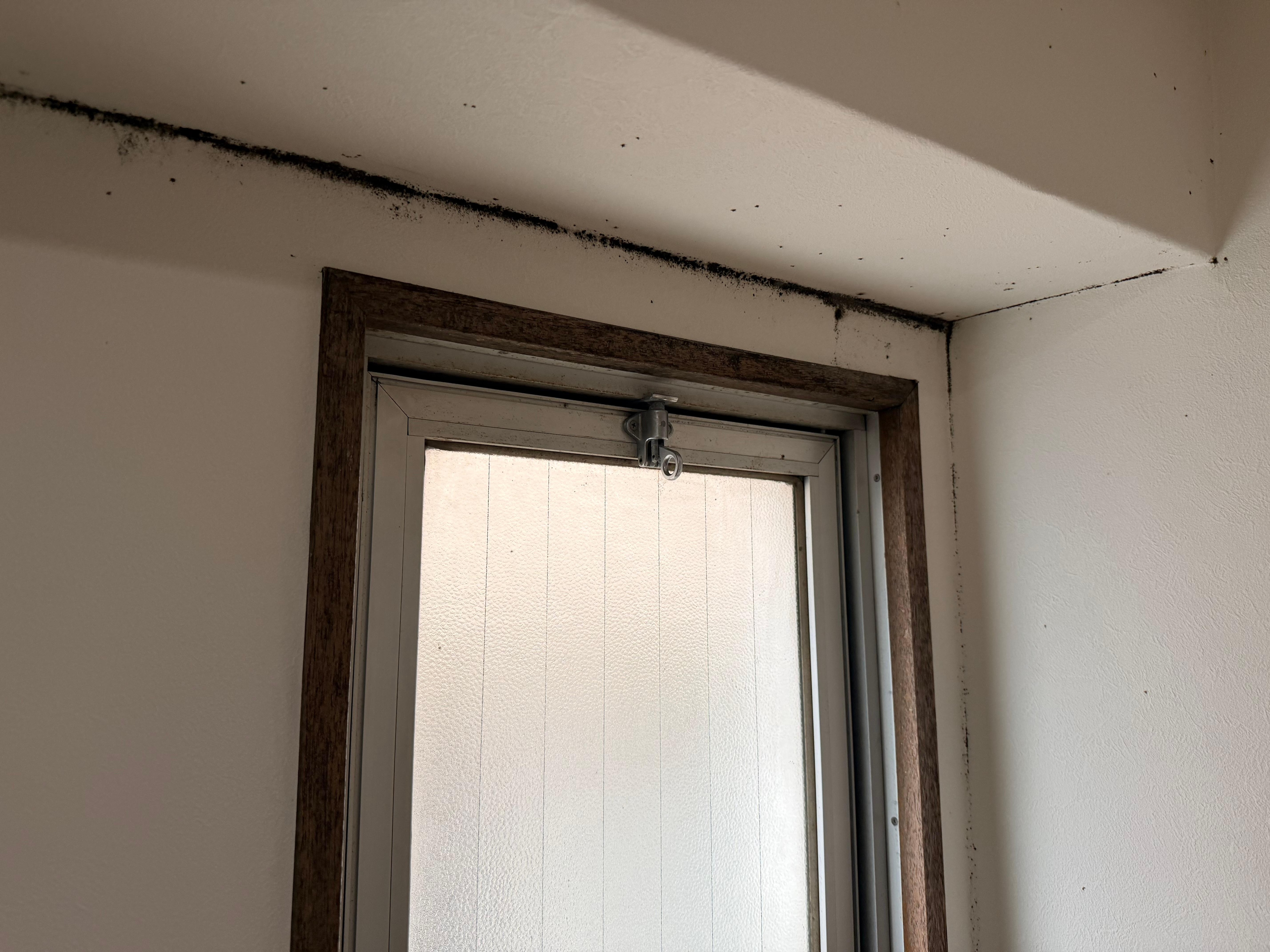 Mold in the bathroom 