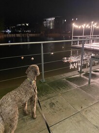 At the back of the hotel