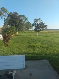 View from the picnic table