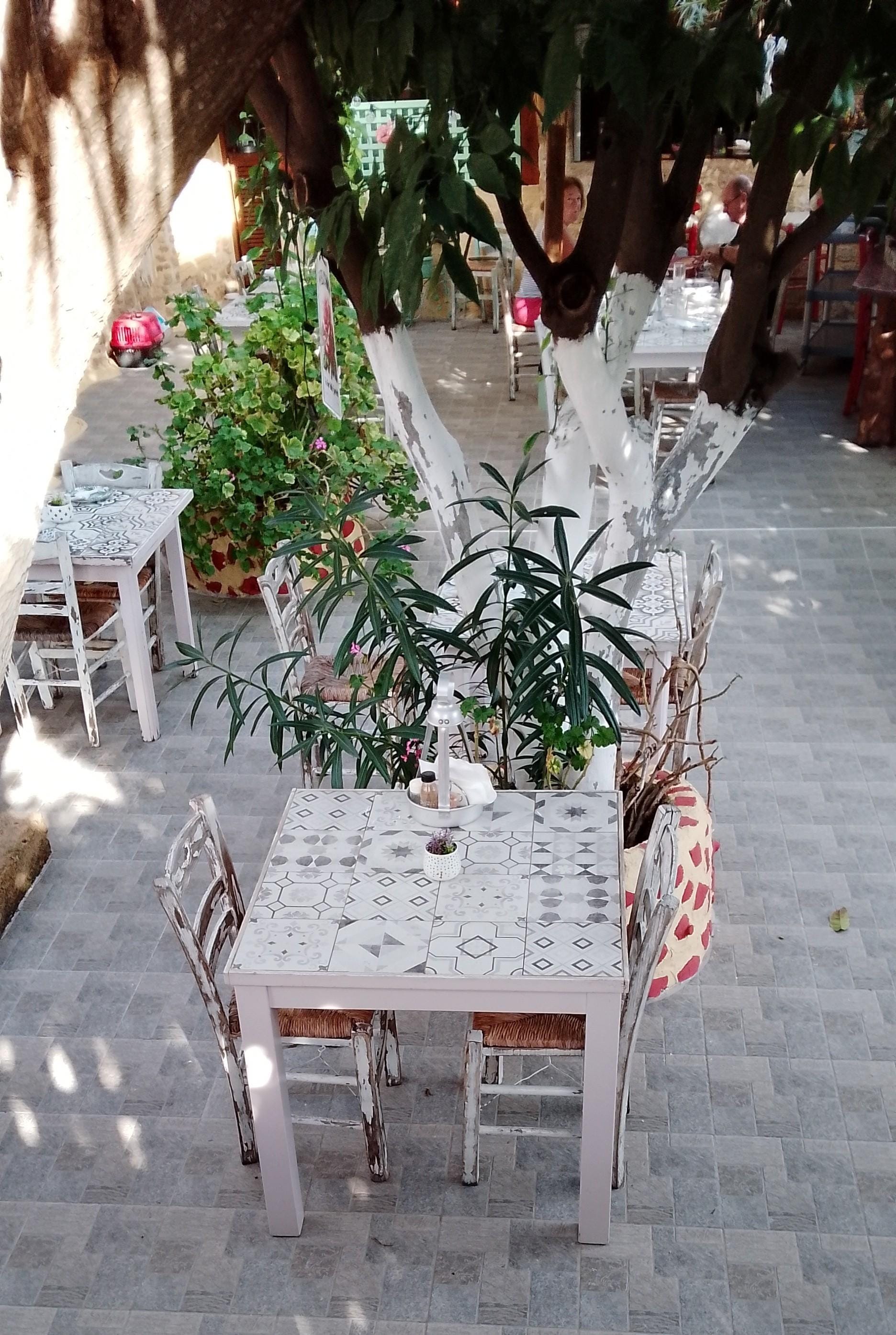 Breakfast in the garden