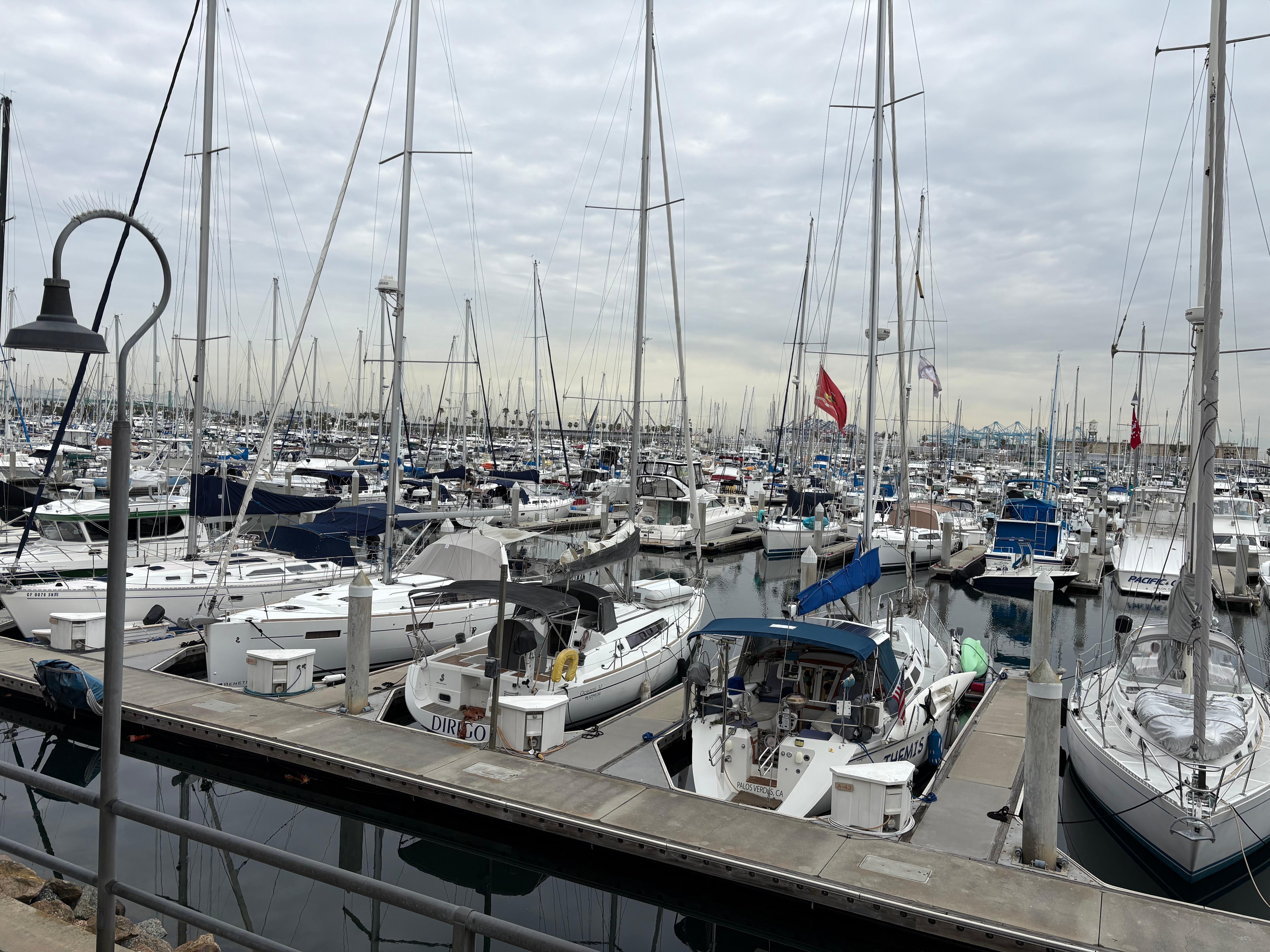 Cabrillo Marina behind Doubletree San Pedro Hotel.