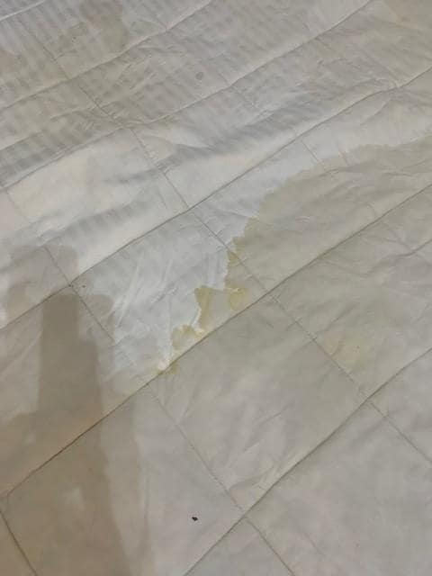 Mattress protector