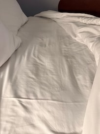 Clean sheets