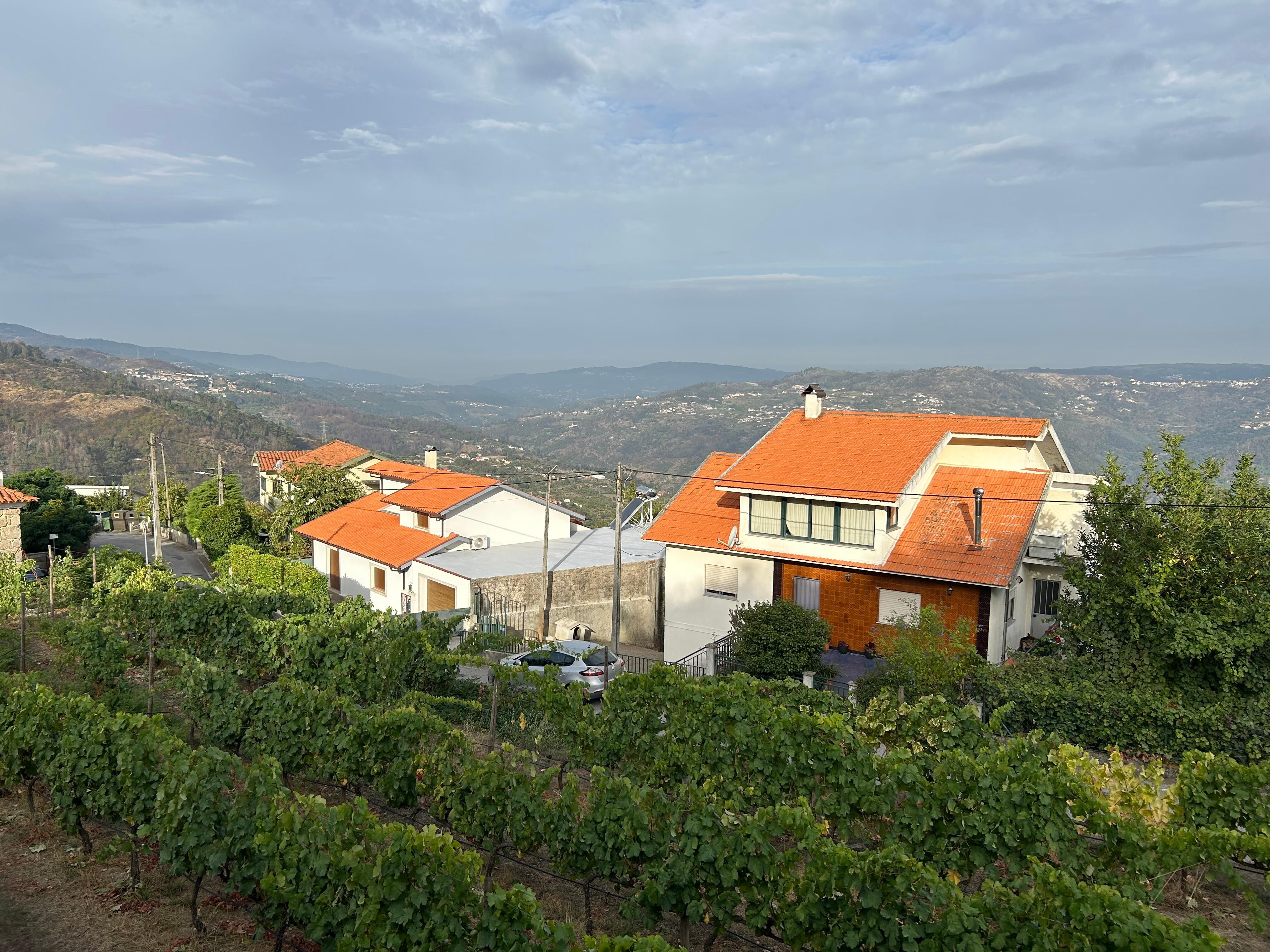 View from the balcony