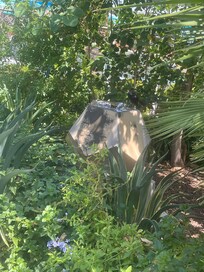 The space was always clean and clear of any debris that could have come in. Plentiful sights to lounge around the premises.