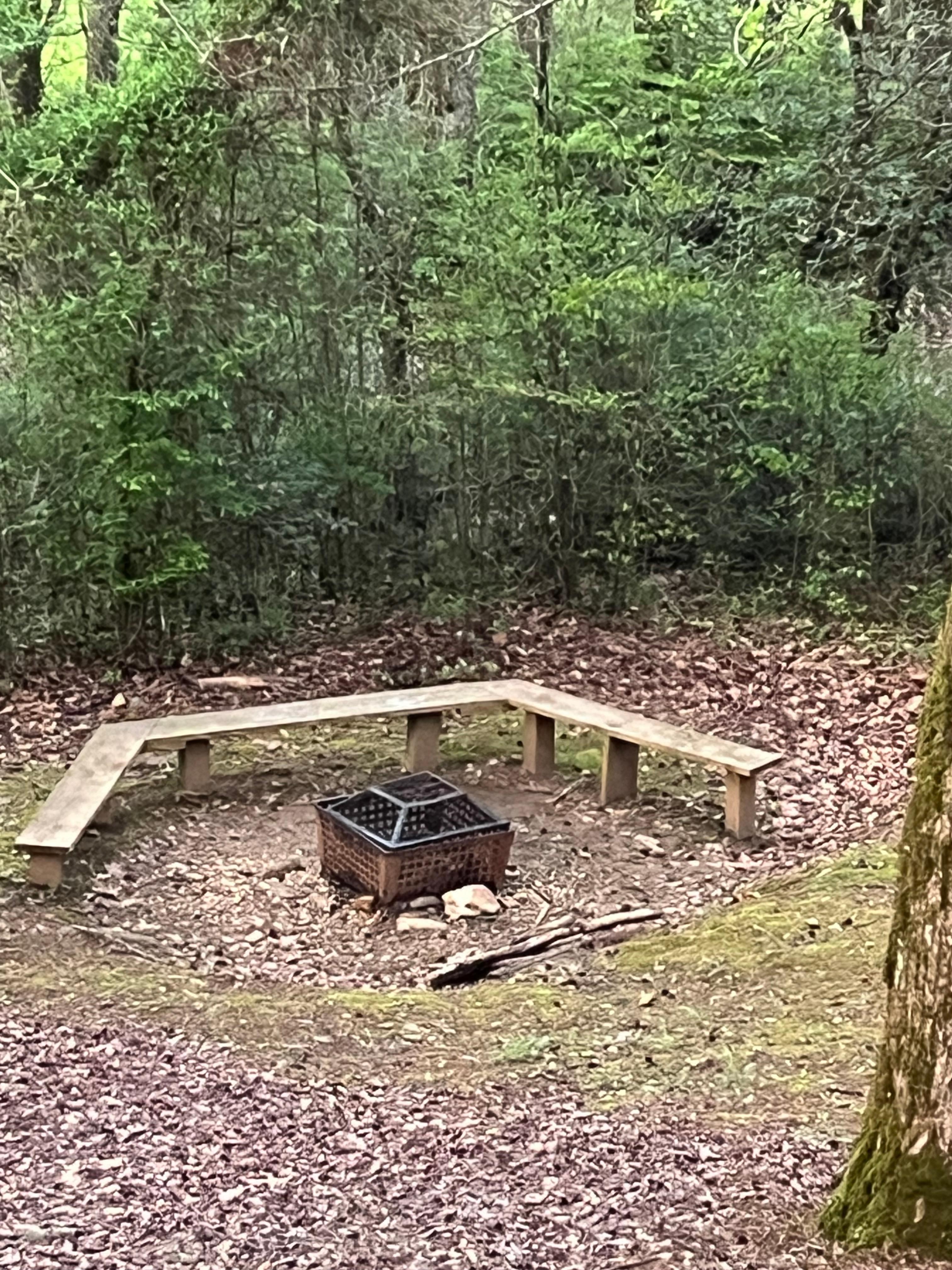 Fire pit 