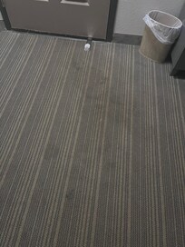 Badly stained carpeting.